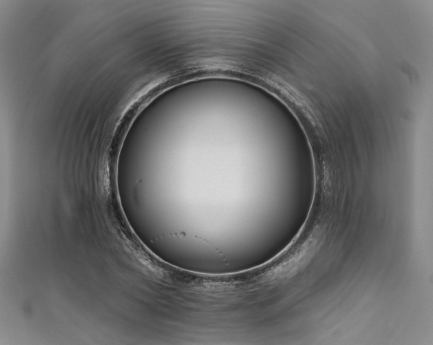 X0000111420782200907131201