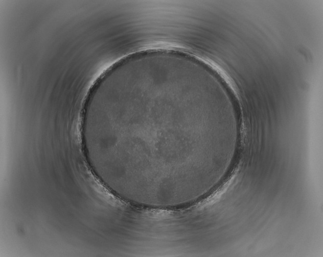 X0000111420783200907131201