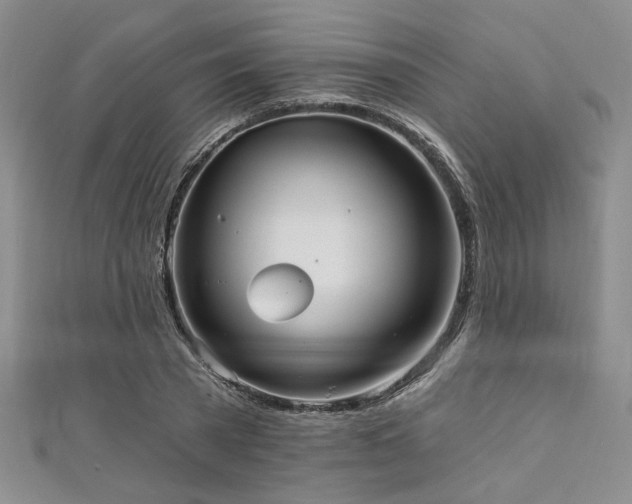 X0000111420785200907131201