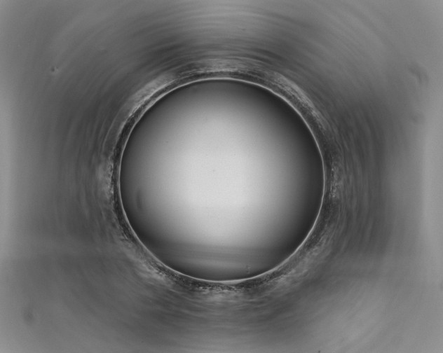 X0000111420786200907131201