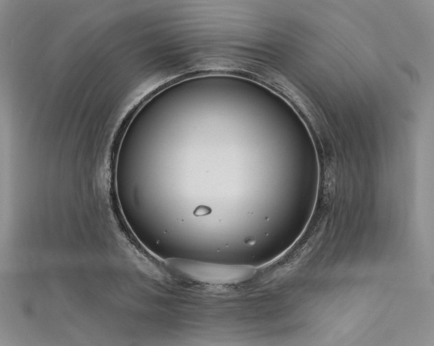 X0000111420787200907131201