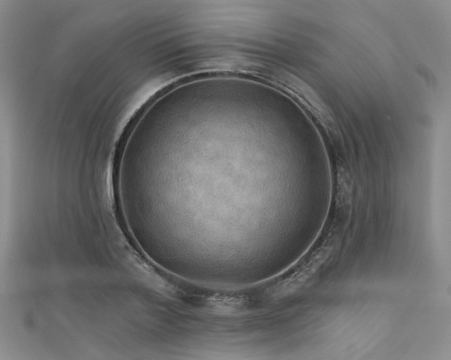 X0000111420788200907131201