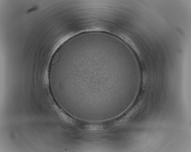 X0000111420789200907131201