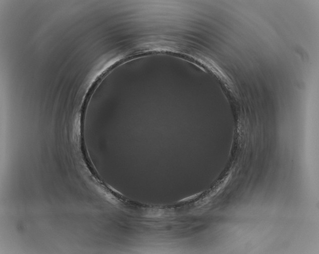 X0000111420790200907131201