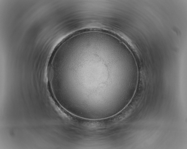 X0000111420791200907131201