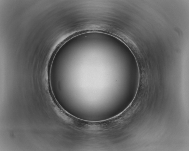 X0000111420792200907131201