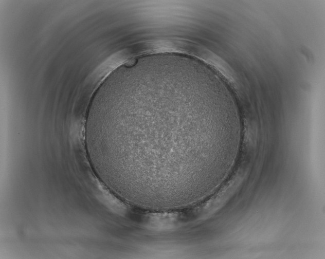 X0000111420793200907131201