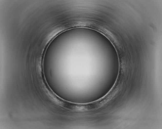 X0000111420794200907131201