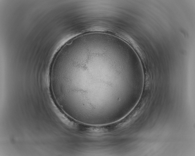 X0000111420795200907131201