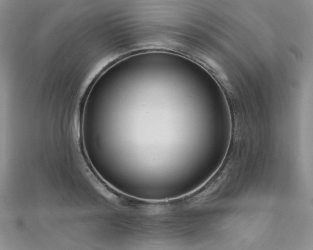 X0000111420796200907131201