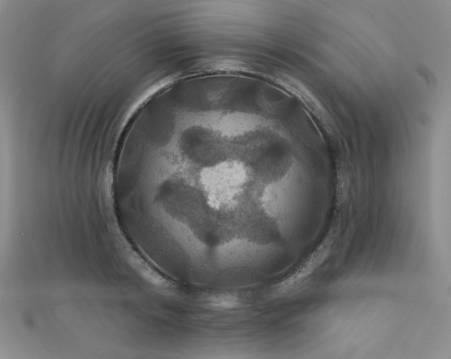 X0000111420798200907131201