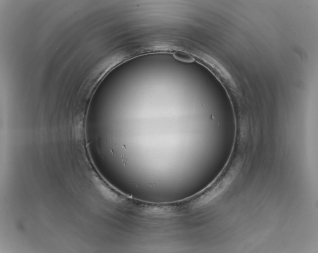 X0000111420801200907131201