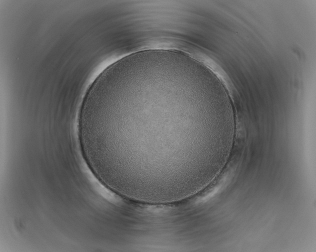 X0000111420803200907131201