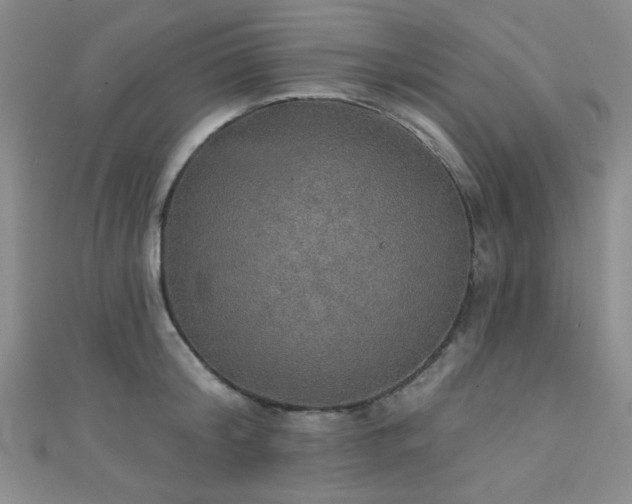 X0000111420804200907131201