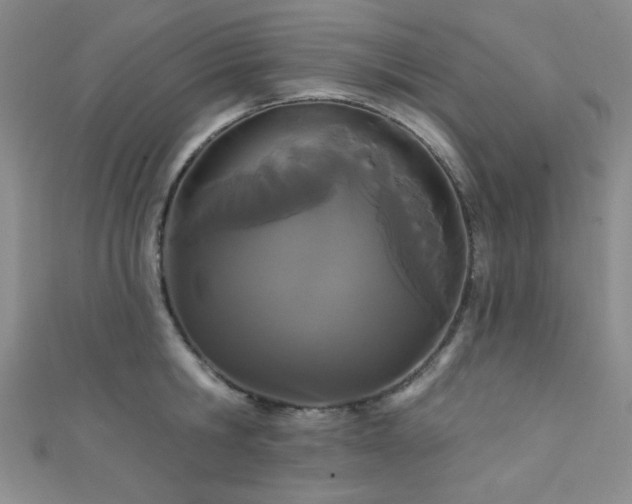 X0000111420806200907131201