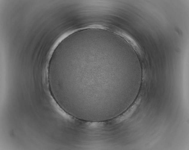 X0000111420808200907131201