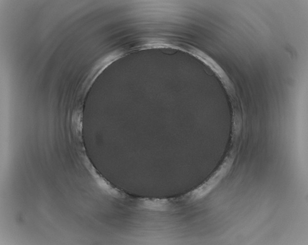 X0000111420809200907131201