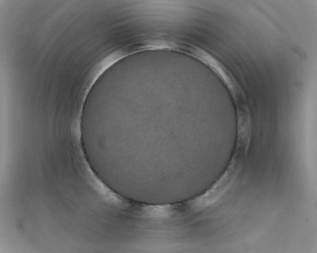 X0000111420810200907131201