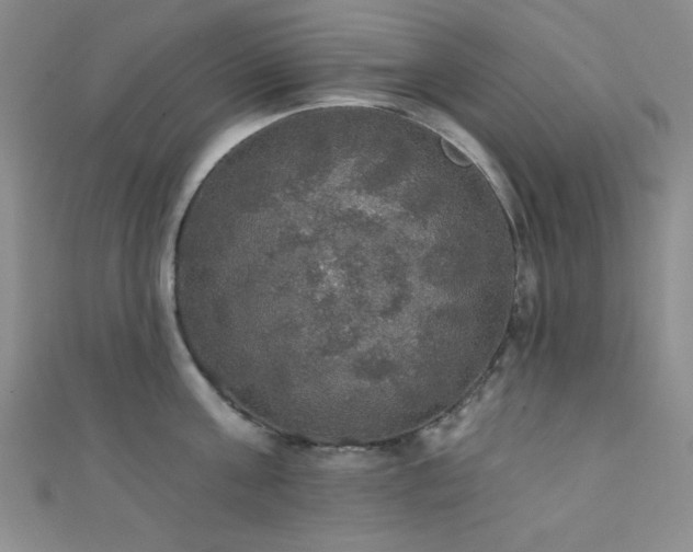 X0000111420811200907131201