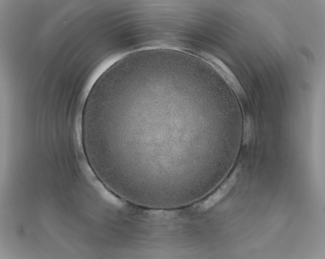 X0000111420812200907131201