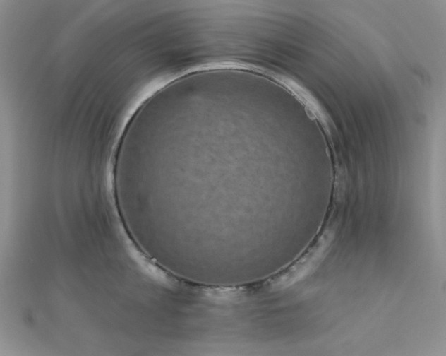 X0000111420813200907131201