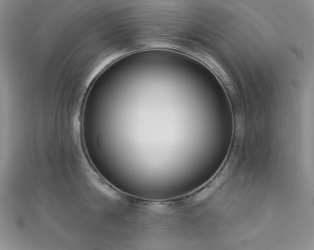 X0000111420814200907131201