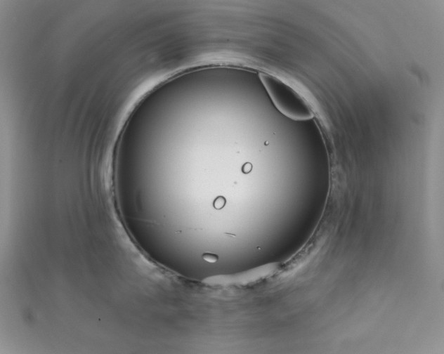 X0000111420815200907131201