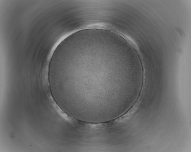 X0000111420816200907131201