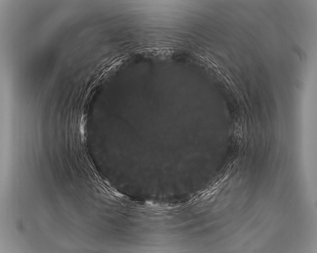 X0000111420818200907131200