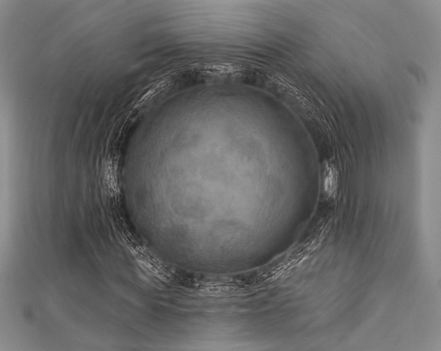 X0000111420819200907131200