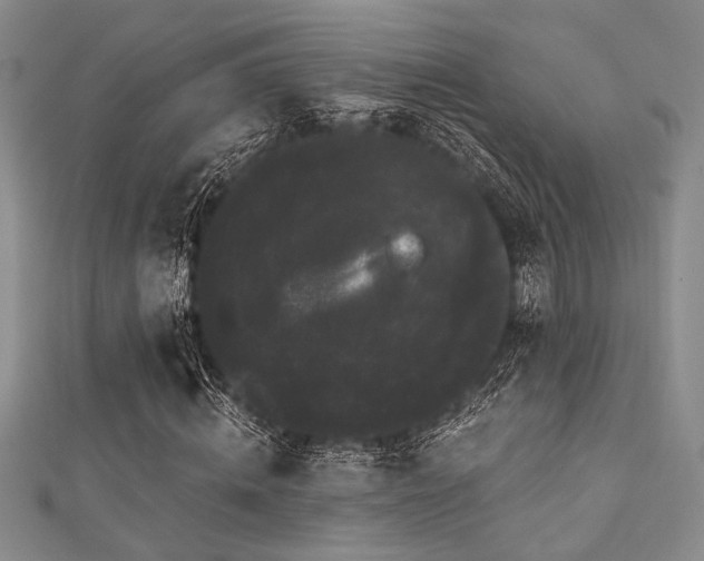 X0000111420820200907131200