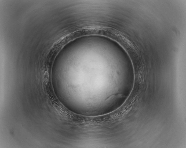 X0000111420821200907131200