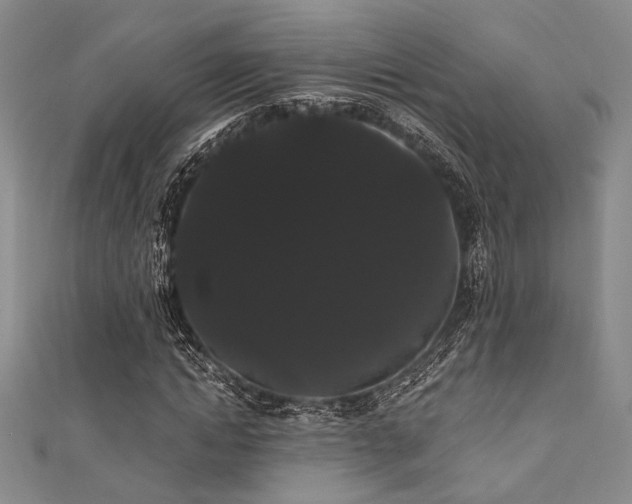 X0000111420822200907131200