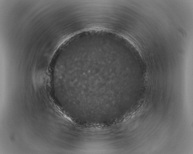 X0000111420823200907131200