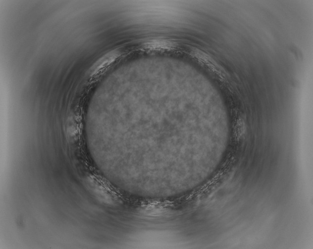 X0000111420824200907131200