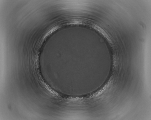 X0000111420826200907131200