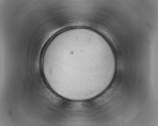 X0000111420828200907131200