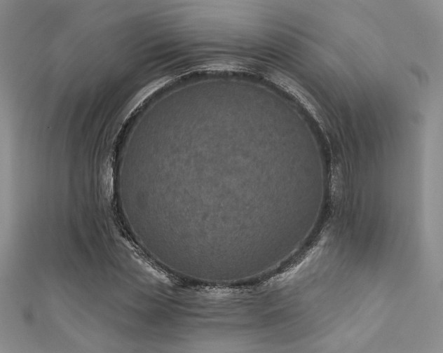 X0000111420829200907131200