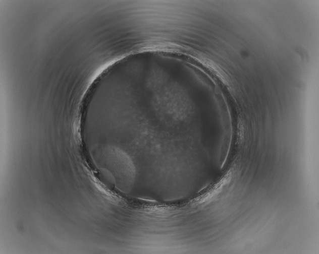 X0000111420830200907131200