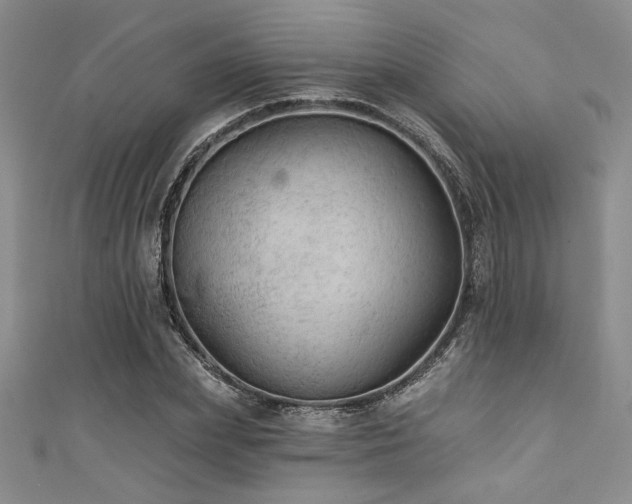 X0000111420831200907131200