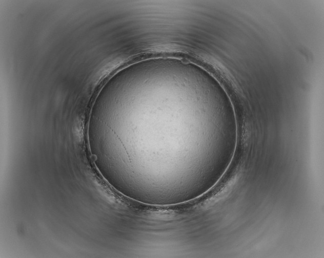 X0000111420833200907131200