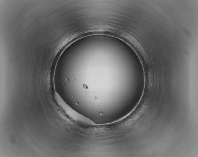 X0000111420834200907131200