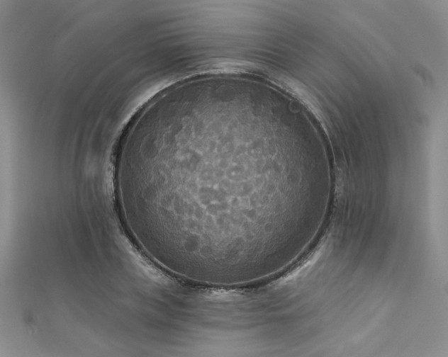 X0000111420835200907131200