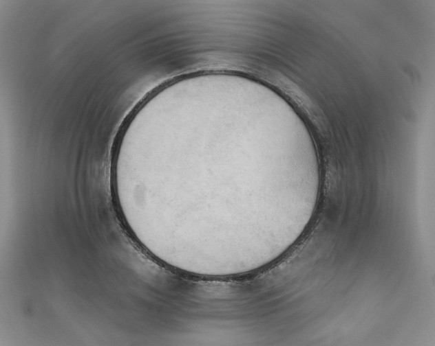 X0000111420836200907131200