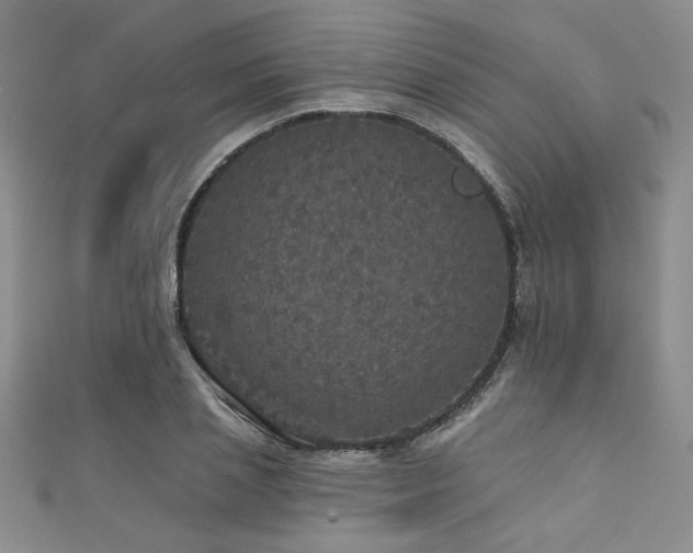 X0000111420837200907131200