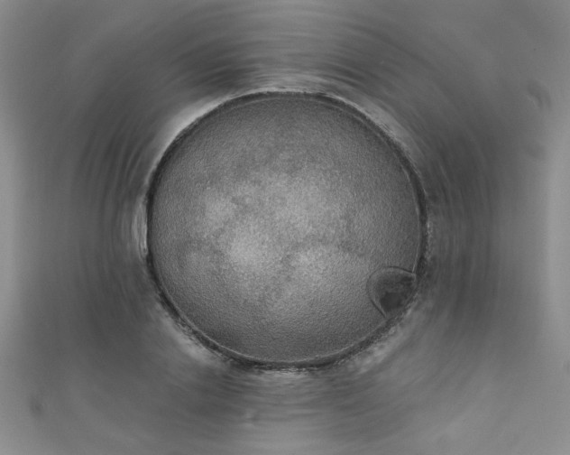 X0000111420838200907131200