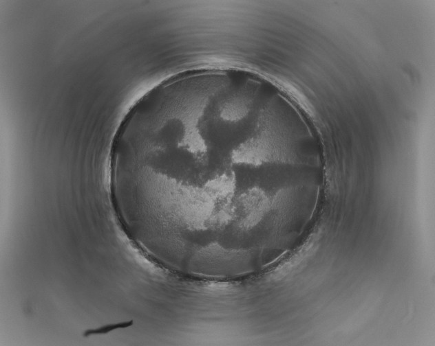 X0000111420839200907131200