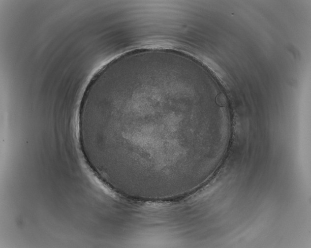 X0000111420840200907131200