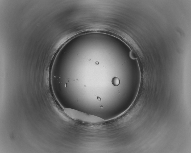 X0000111420842200907131200