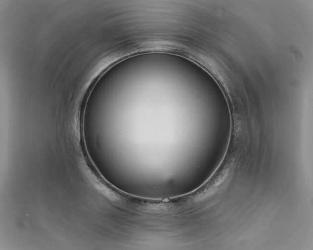 X0000111420843200907131200